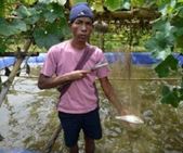 An Integrated Organic Farming System: Innovations for Farm Diversification, Sustainability, and Livelihood Improvement of Hill Farmers