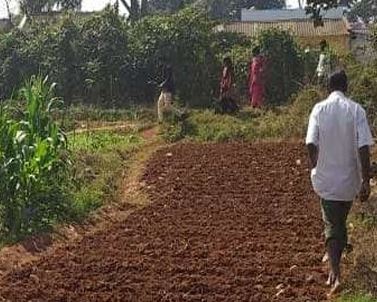 Natural Farming: Report of a Dipstick Study