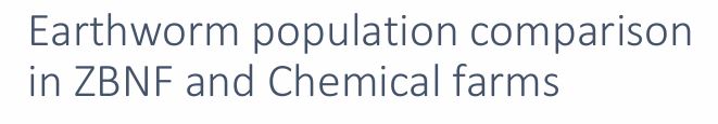 Earthworm population comparison in ZBNF and Chemical farms