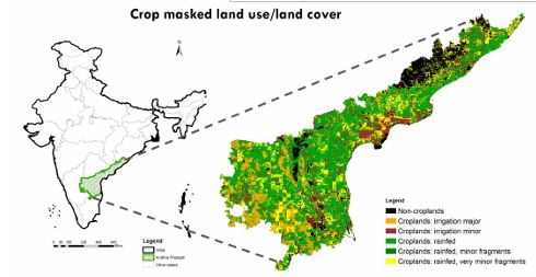 Natural Farming Through a Wide-Angle Lens: True Cost Accounting Study of Community Managed Natural Farming in Andhra Pradesh, India